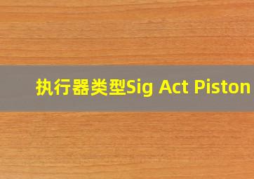 执行器类型Sig Act Piston